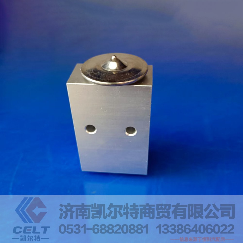 AZ1630820020,膨胀阀,济南凯尔特商贸有限公司
