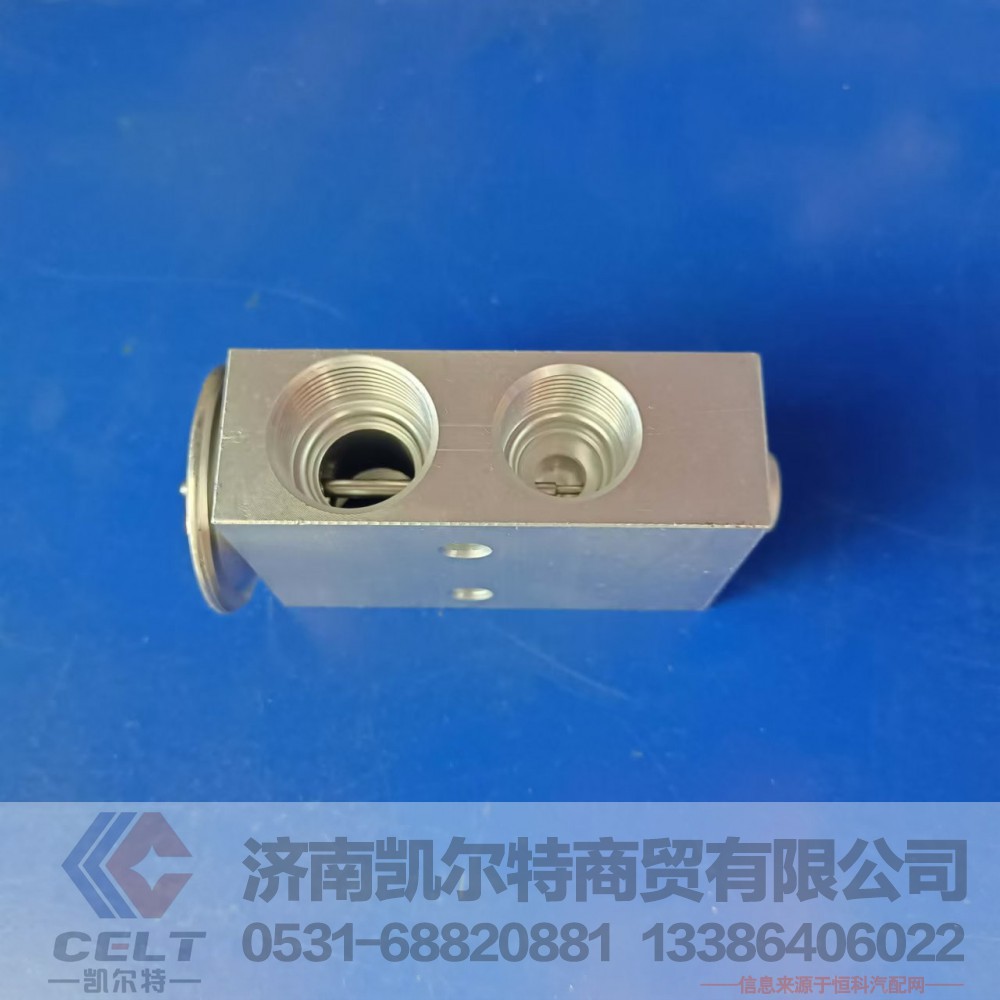 AZ1630820020,膨胀阀,济南凯尔特商贸有限公司