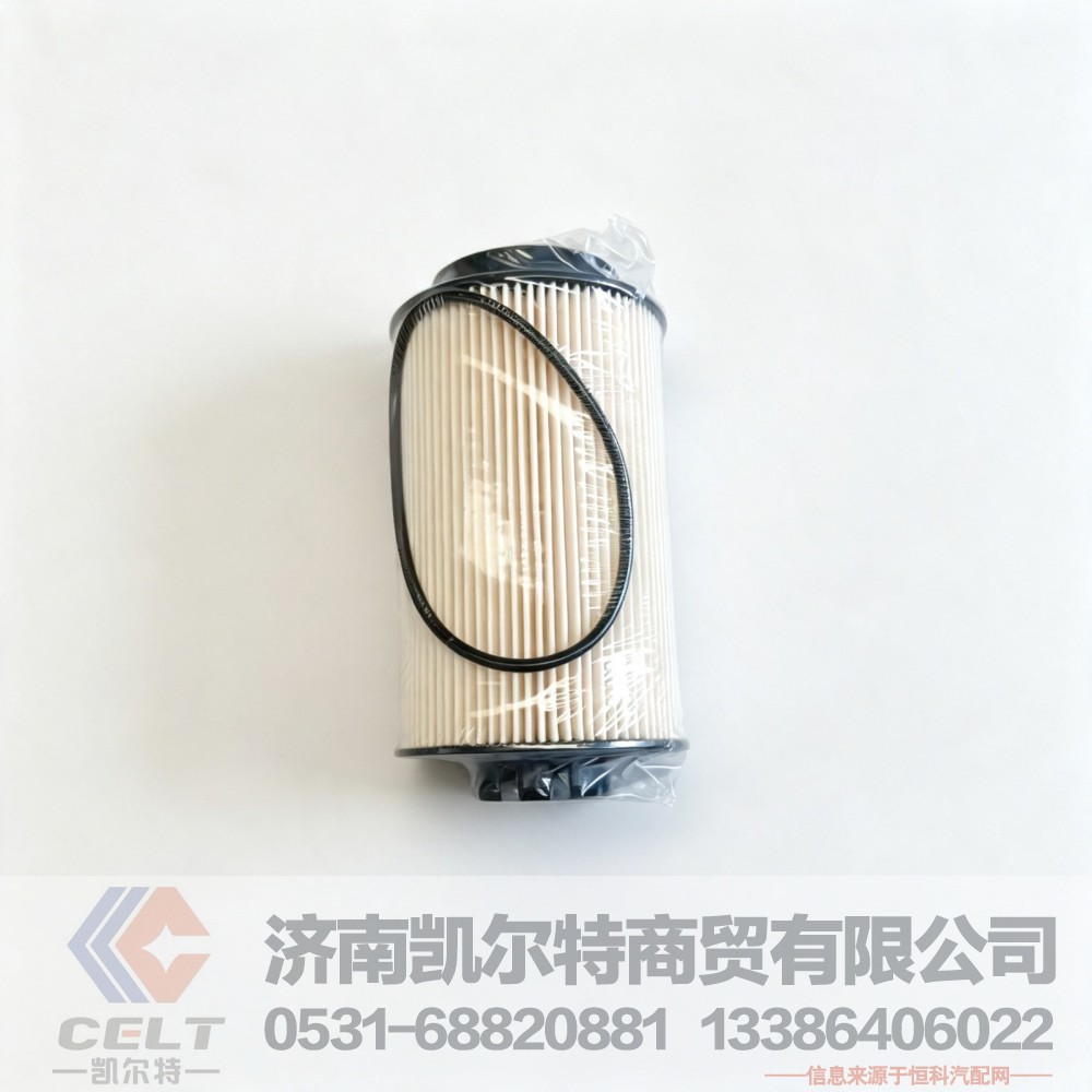 201V12503-0062,燃油濾清器芯 帶O型圈,濟南凱爾特商貿(mào)有限公司