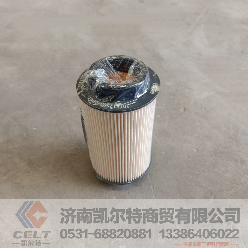 201V12503-0062,燃油濾清器芯 帶O型圈,濟南凱爾特商貿(mào)有限公司
