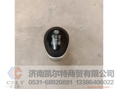 10JS160T-1708010-49,换档手柄球,济南凯尔特商贸有限公司