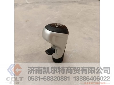 10JS160T-1708010-49,换档手柄球,济南凯尔特商贸有限公司
