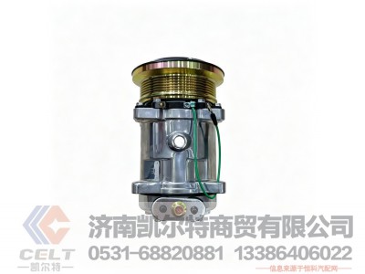WG1500139006（WG1500139001）,压缩机总成,济南凯尔特商贸有限公司