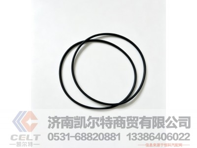 200V96501-0534,气缸套密封圈 139,4X3,95,济南凯尔特商贸有限公司