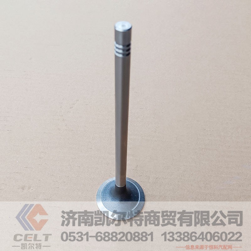 重汽豪沃T7H豪瀚汕德卡配件 重汽曼MC11发动机进气门200V04101-0574图2