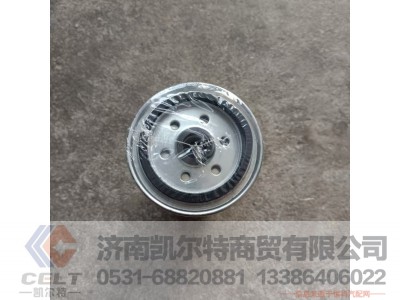 TP1000700909,燃油滤清器滤芯,济南凯尔特商贸有限公司