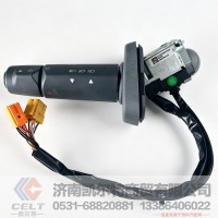 811W25509-0145凯尔特