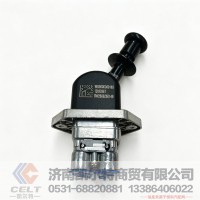 WG9000360165凯尔特