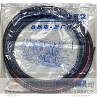 BS52627凯尔特