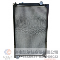 散热器总成DZ96259532033 陕汽德龙新M3000水箱总成 高度1090宽度680
