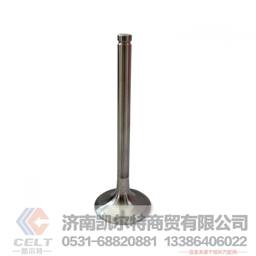 潍柴WD615欧二WP10发动机进气门612600050073 进排气门耐热合金钢