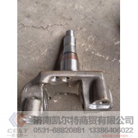 3001020-A2Q/A凯尔特