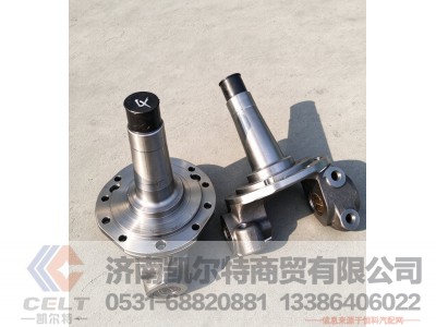 3001020-1066/B,右转向节及衬套总成(见3001015-1066),济南凯尔特商贸有限公司