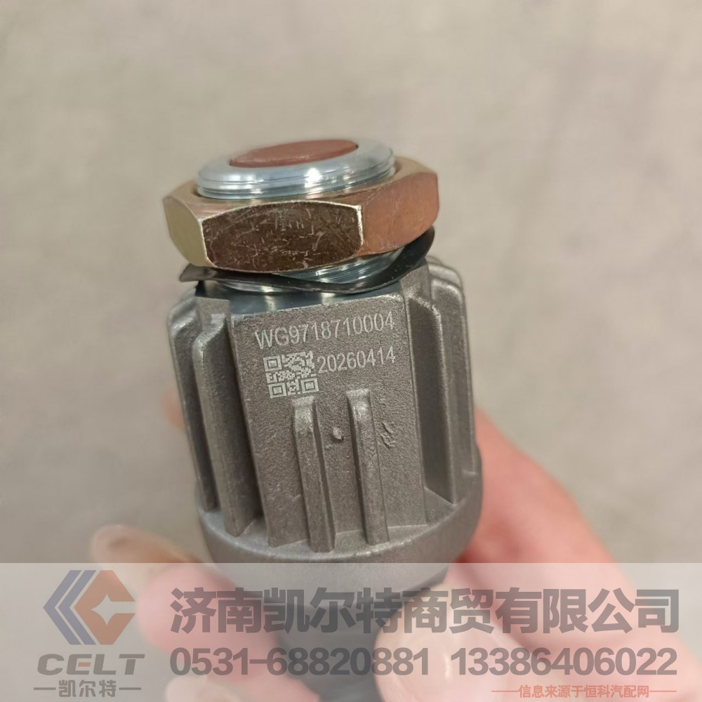 WG9718710004,制动灯开关,济南凯尔特商贸有限公司