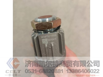 WG9718710004,制动灯开关,济南凯尔特商贸有限公司