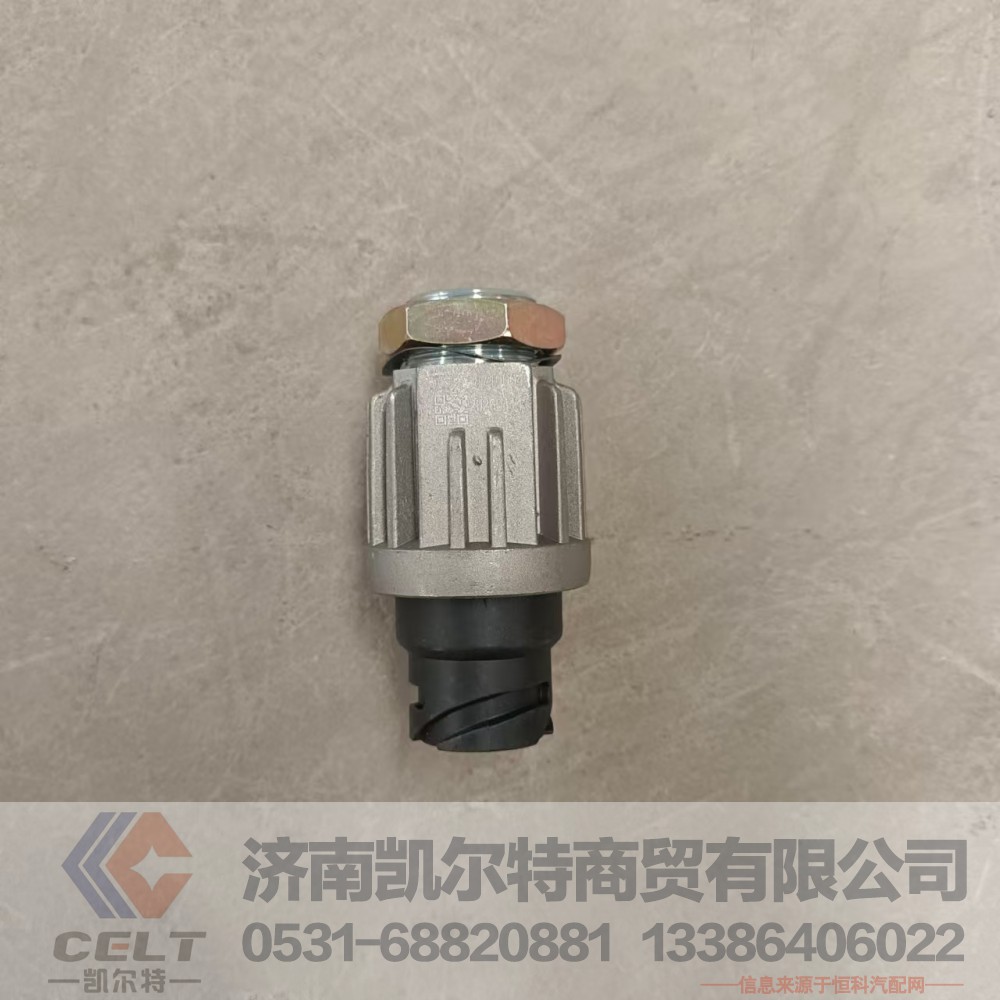 WG9718710004,制动灯开关,济南凯尔特商贸有限公司