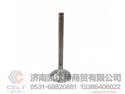 612600050073,进气门,济南凯尔特商贸有限公司