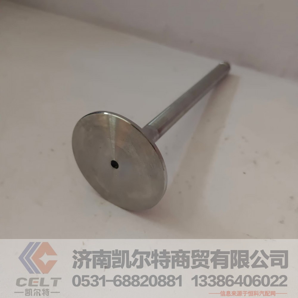 612600050073,进气门,济南凯尔特商贸有限公司
