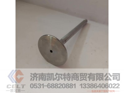 612600050073,进气门,济南凯尔特商贸有限公司