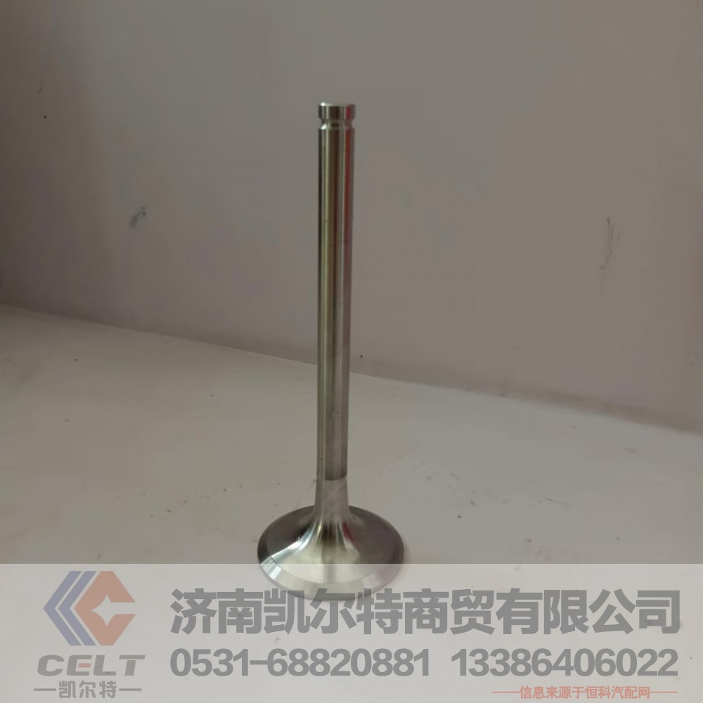 612600050073,进气门,济南凯尔特商贸有限公司
