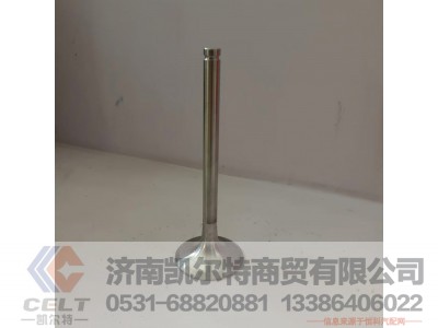 612600050073,进气门,济南凯尔特商贸有限公司