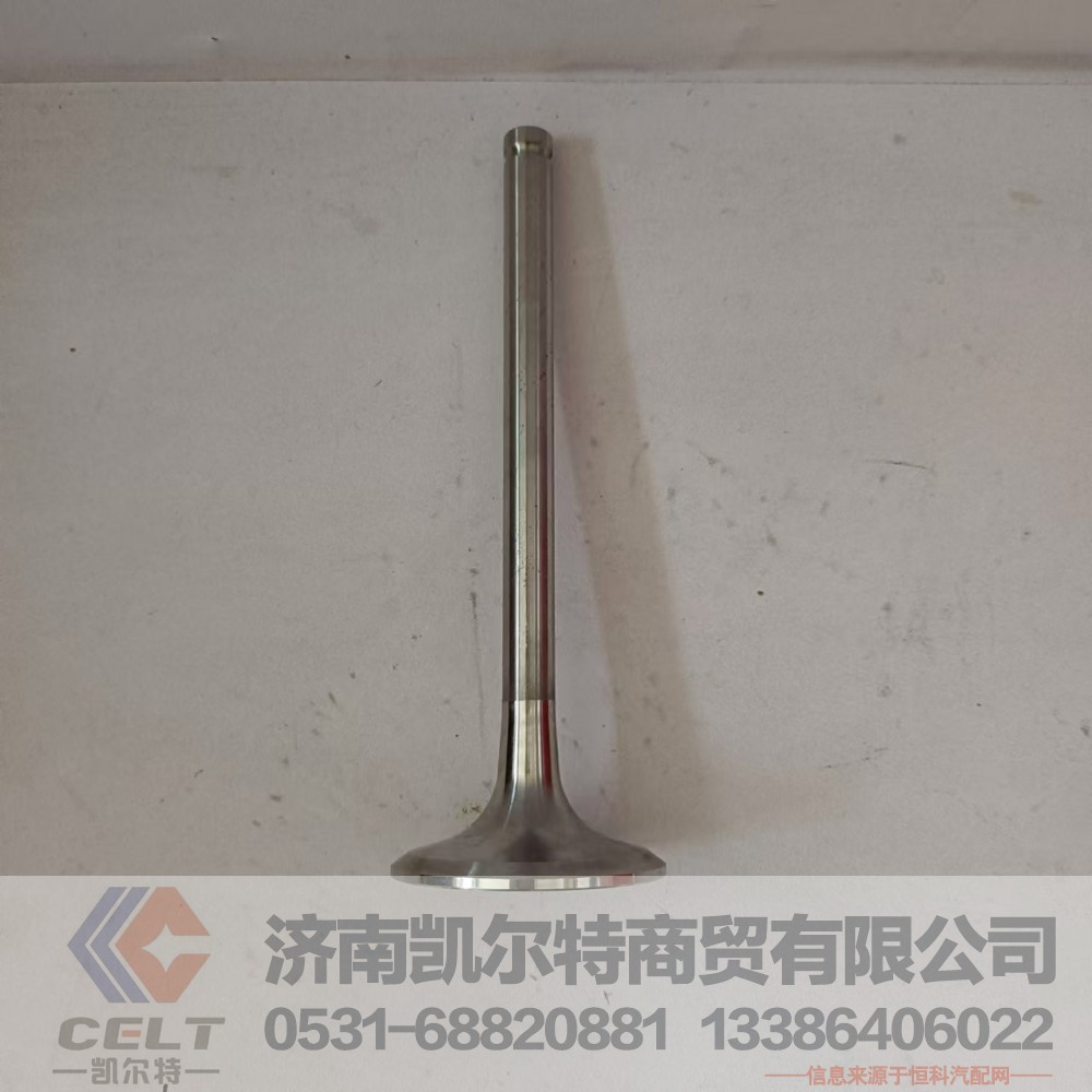 612600050073,进气门,济南凯尔特商贸有限公司