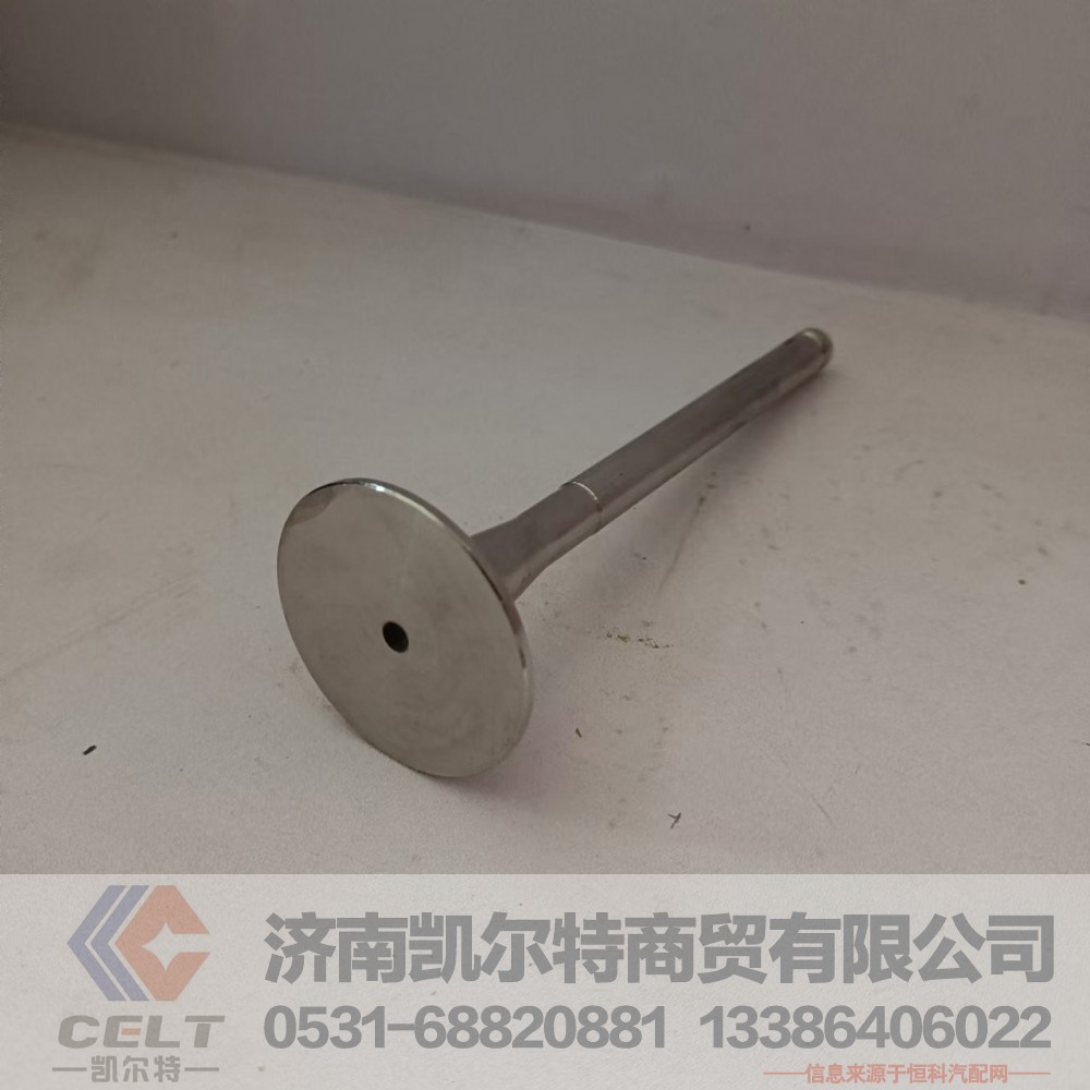 612600050025,排气门,济南凯尔特商贸有限公司