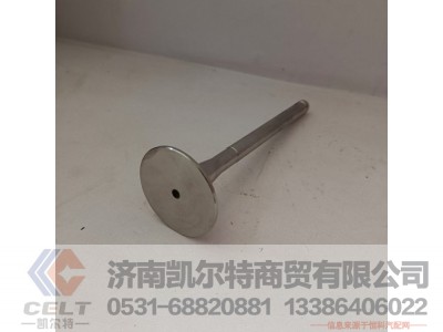 612600050025,排气门,济南凯尔特商贸有限公司