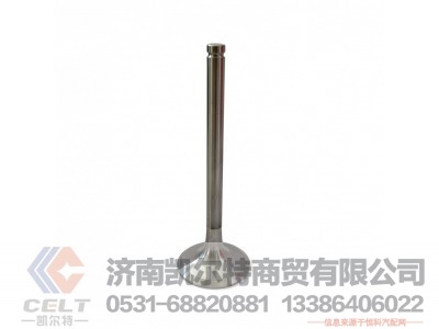 612600050025,排气门,济南凯尔特商贸有限公司