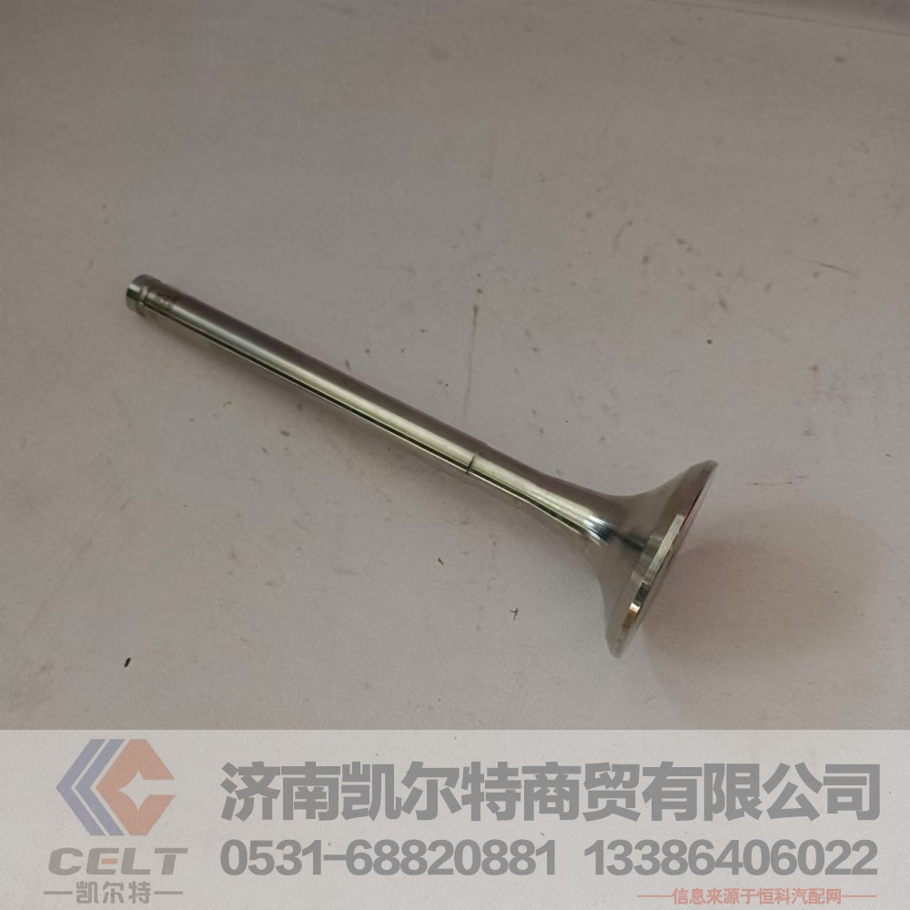 612600050025,排气门,济南凯尔特商贸有限公司