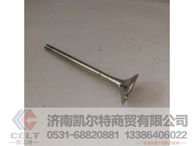 612600050025,排气门,济南凯尔特商贸有限公司