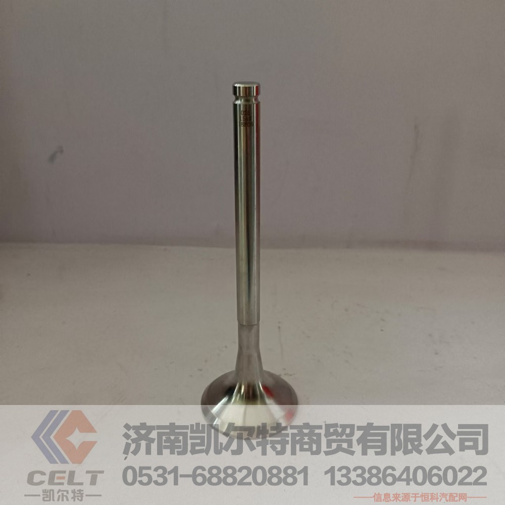 612600050025,排气门,济南凯尔特商贸有限公司