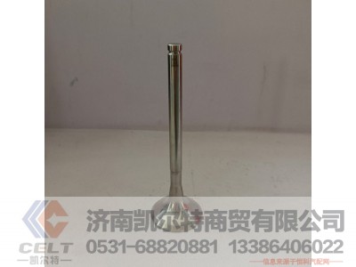 612600050025,排气门,济南凯尔特商贸有限公司