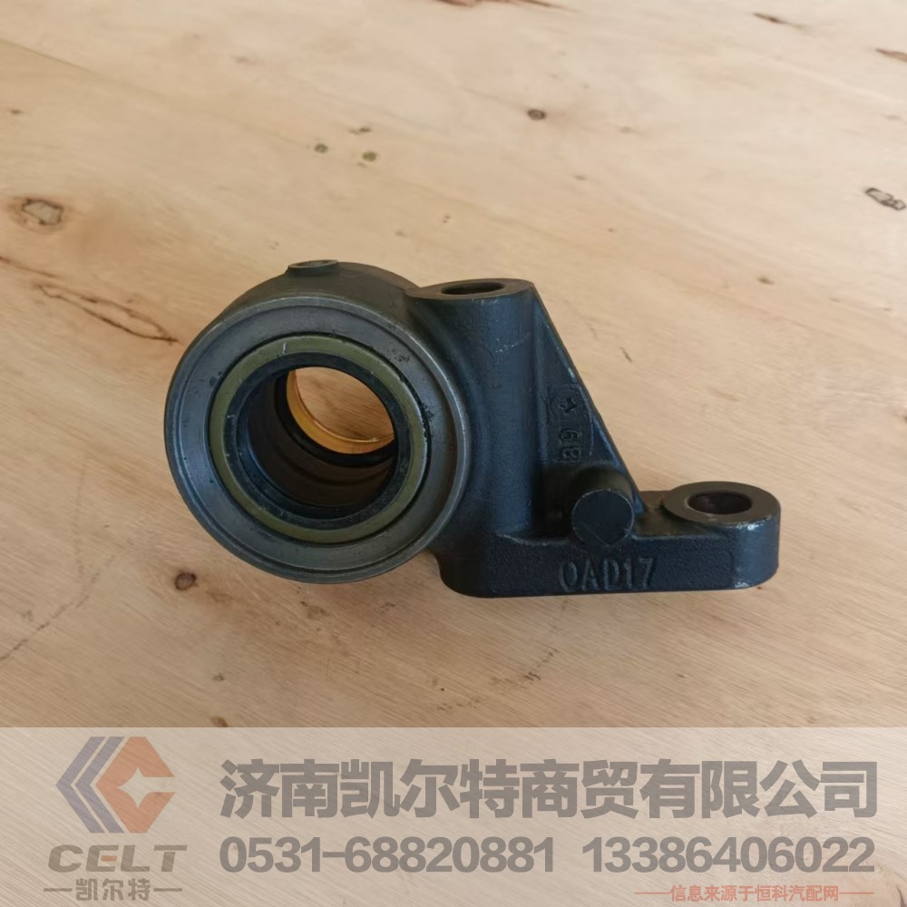 712W50310-0132,凸轮轴支架(右),济南凯尔特商贸有限公司