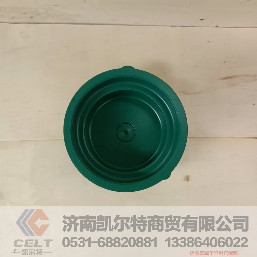 VG1062060351,水泵总成(王子EGR用),济南凯尔特商贸有限公司