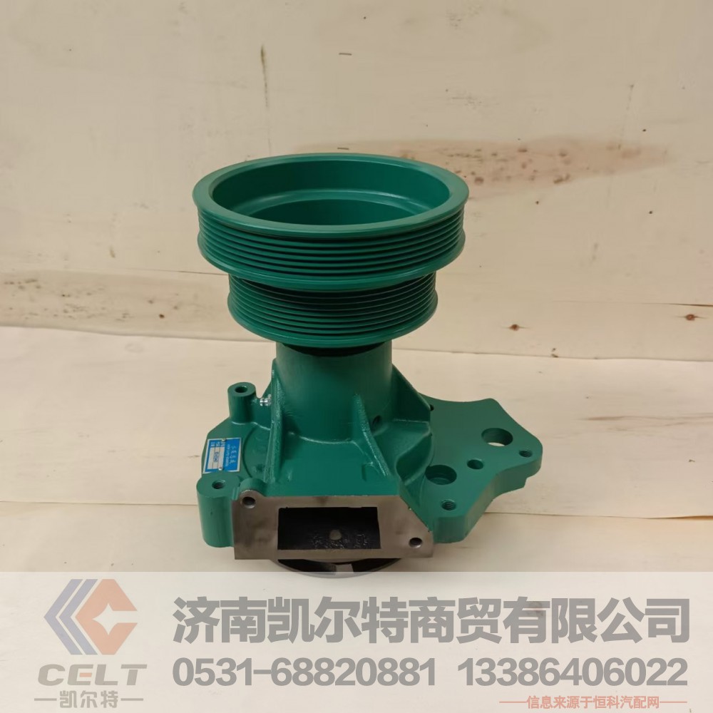VG1062060351,水泵总成(王子EGR用),济南凯尔特商贸有限公司