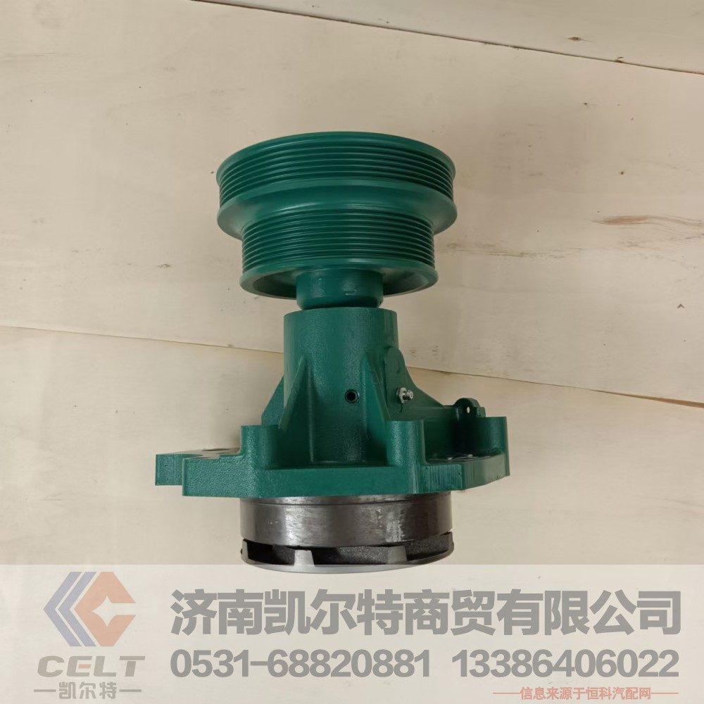 VG1062060351,水泵总成(王子EGR用),济南凯尔特商贸有限公司