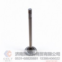 LN100-1003111B凯尔特