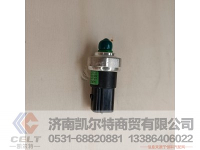 DZ13241840601,三态压力开关,济南凯尔特商贸有限公司