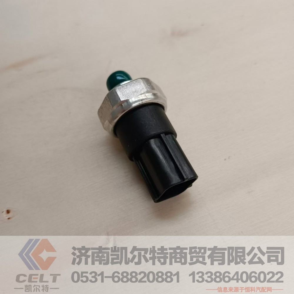 DZ13241840601,三态压力开关,济南凯尔特商贸有限公司