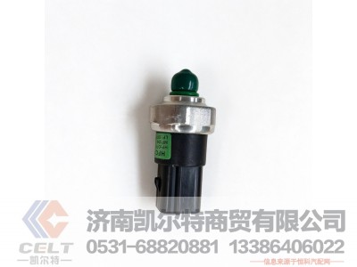 DZ13241840601,三态压力开关,济南凯尔特商贸有限公司