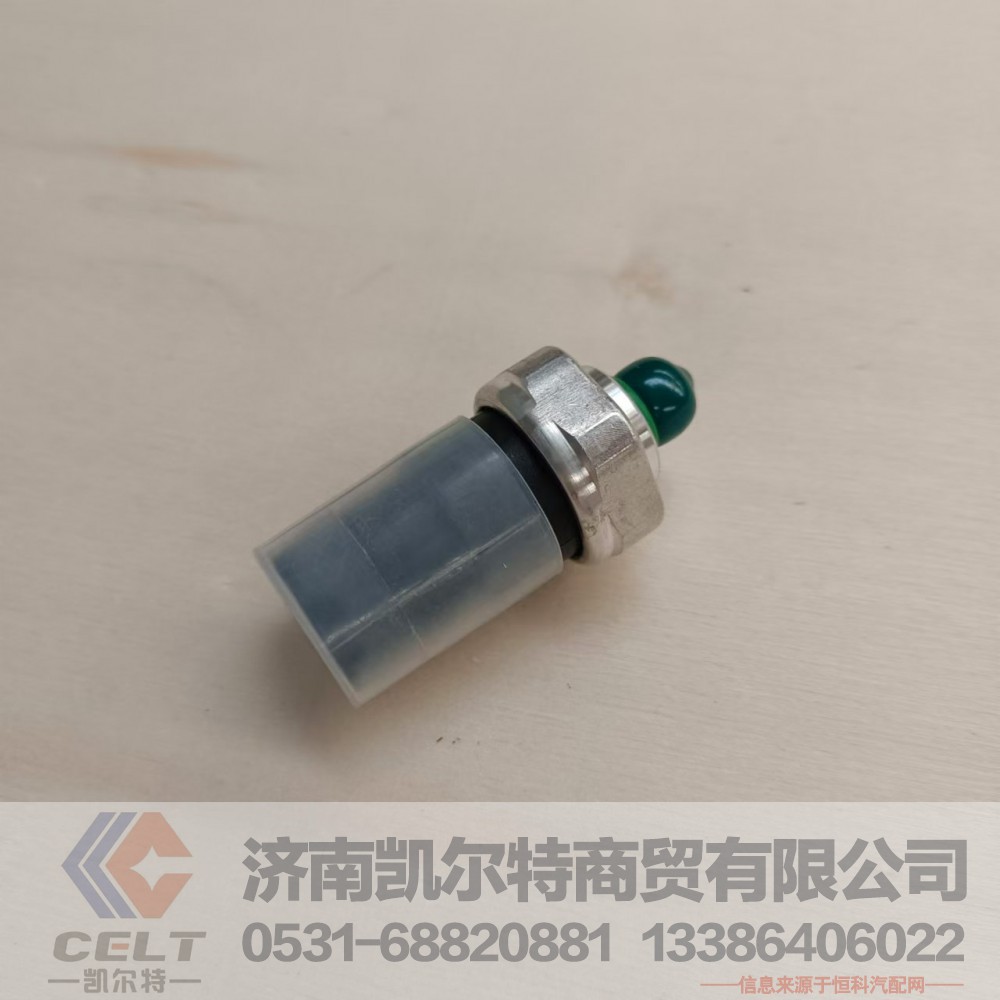 DZ13241840601,三态压力开关,济南凯尔特商贸有限公司