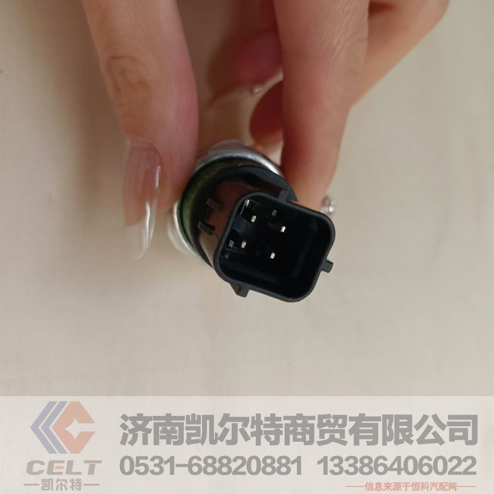 DZ13241840601,三态压力开关,济南凯尔特商贸有限公司
