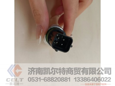 DZ13241840601,三态压力开关,济南凯尔特商贸有限公司