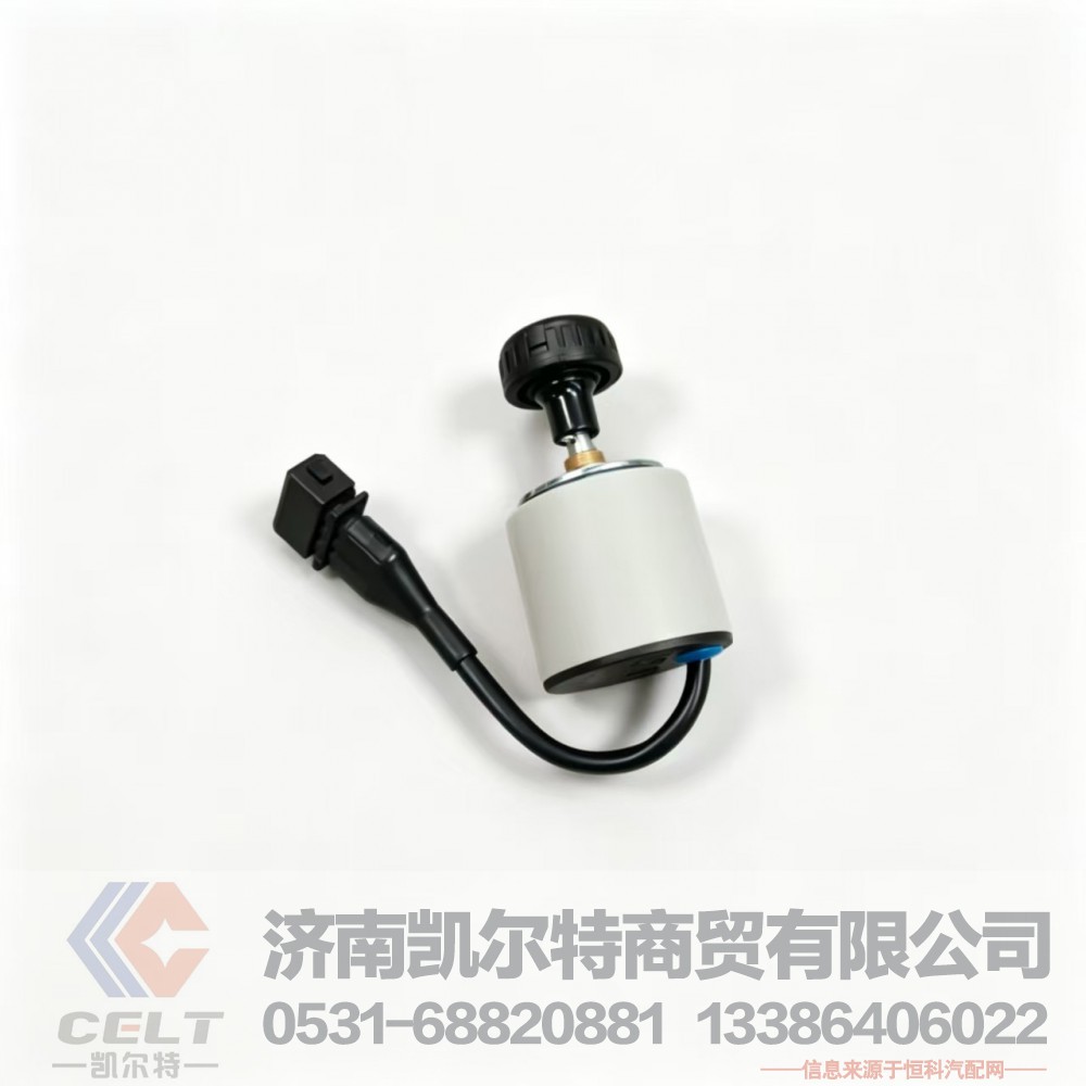 WG9725584060,远程油门控制开关,济南凯尔特商贸有限公司