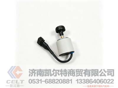 WG9725584060,远程油门控制开关,济南凯尔特商贸有限公司