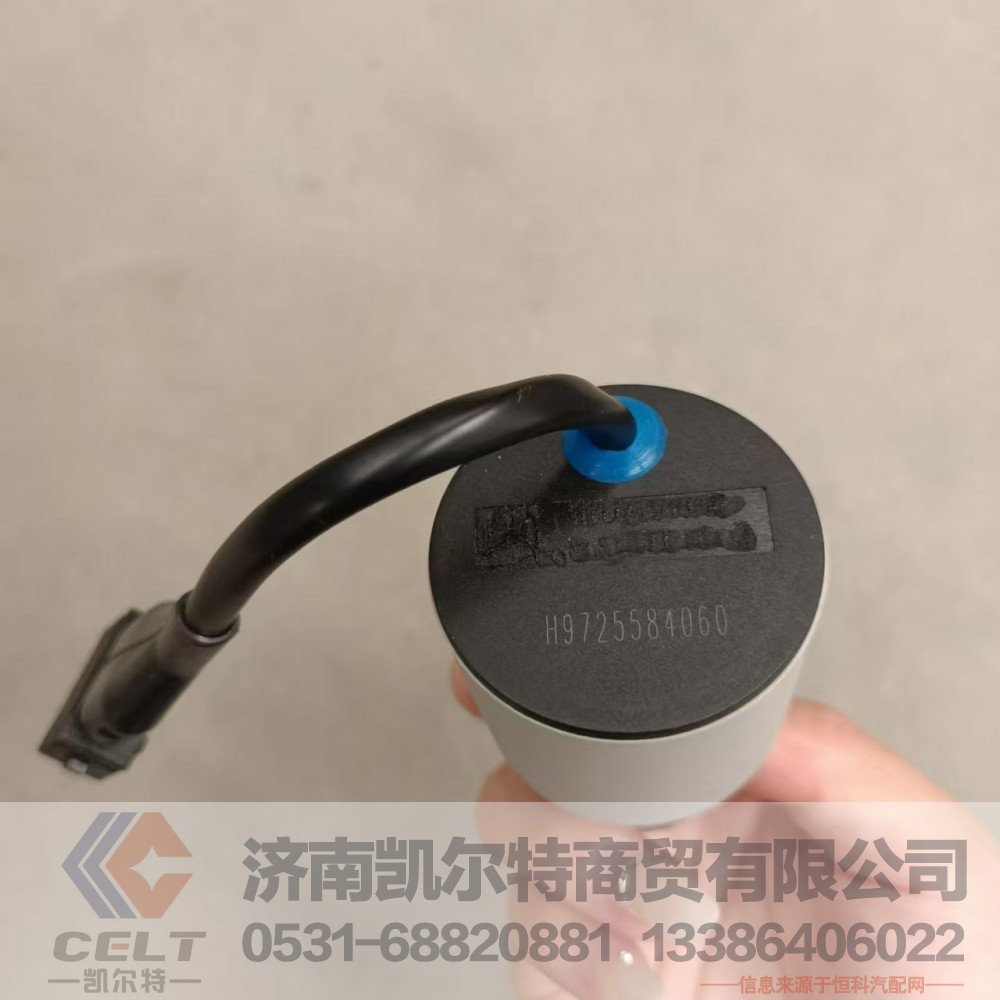 WG9725584060,远程油门控制开关,济南凯尔特商贸有限公司