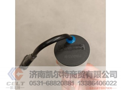 WG9725584060,远程油门控制开关,济南凯尔特商贸有限公司