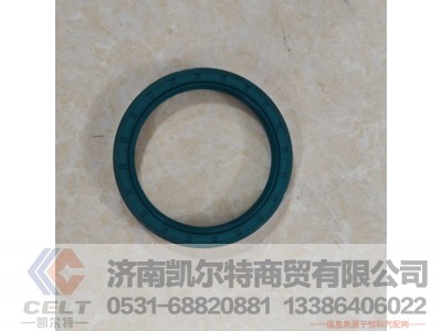 ,前贯通轴油封,济南凯尔特商贸有限公司