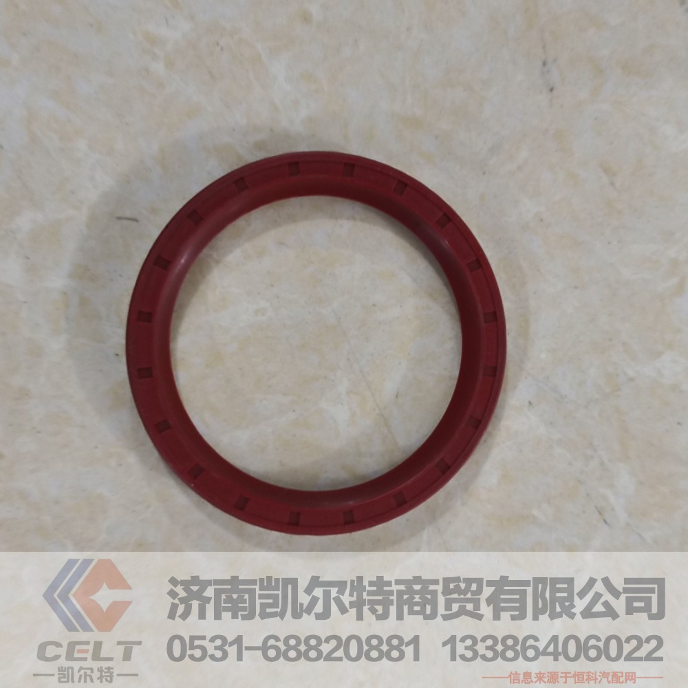 ,前贯通轴油封,济南凯尔特商贸有限公司